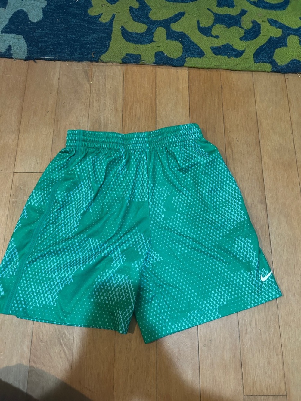 Nike Teal Green Performance Shorts